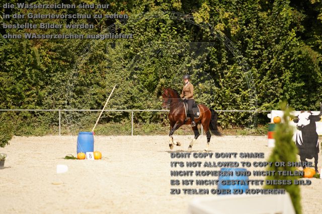 s_K3F01398.JPG